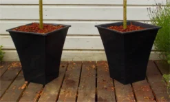 Pair Of Standard Topiary Trees 'Salix Flamingo' With Large Flared Decorative Planters -Plant Garden World black planters1000x600 5