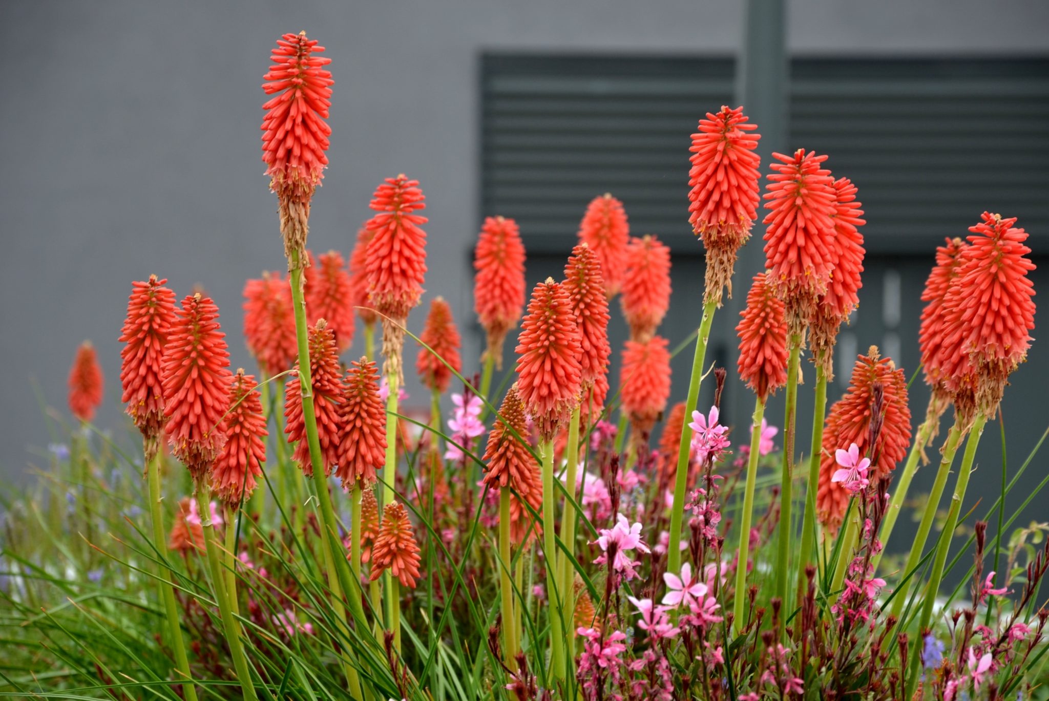 Plant Garden World -Plant Garden World iStock 1257919797 scaled 1